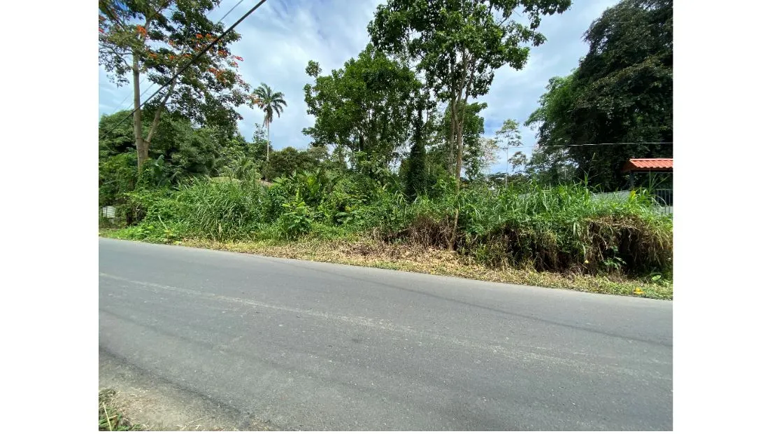 Fotografía 1 de Venta de lote en Limón