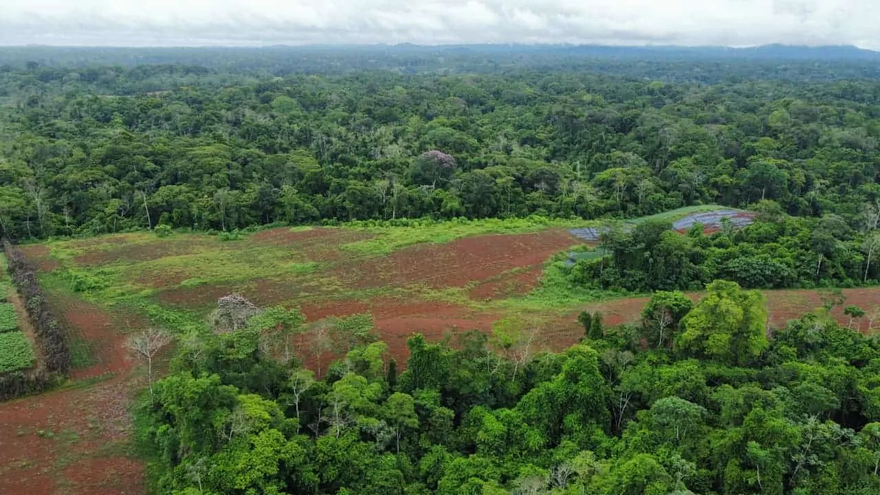 Photo 1 of Land for sale in Cutris, San Carlos, Alajuela
