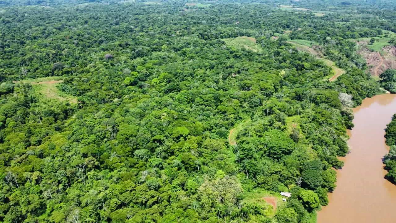 Fotografía 1 de Venta de lote en Cutris, San Carlos, Alajuela
