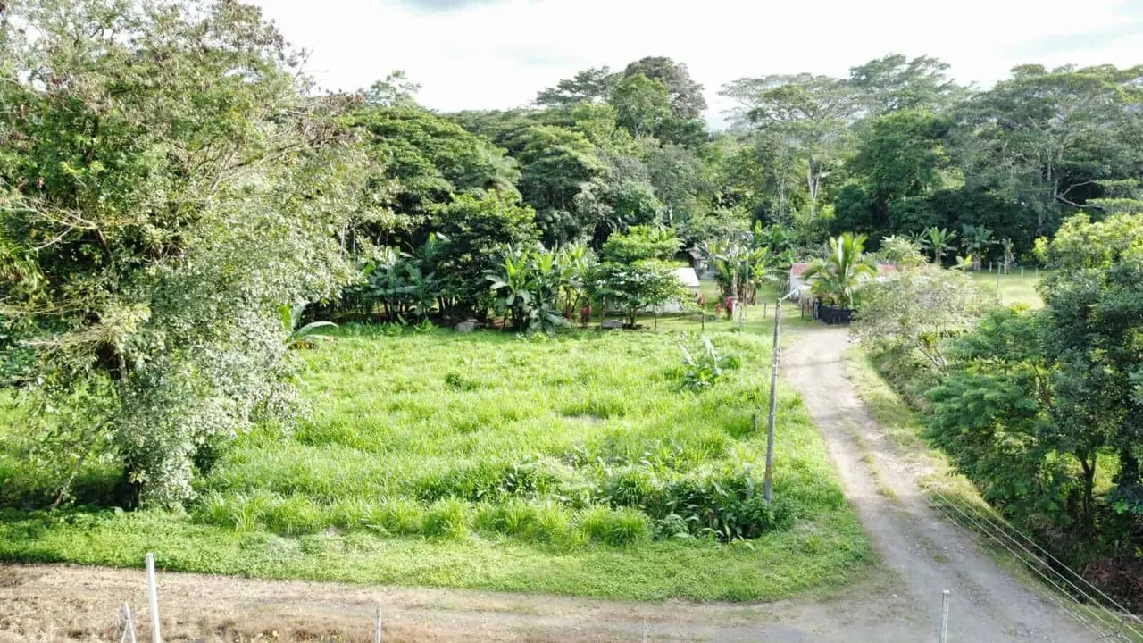Photo 1 of Land for sale in Upala, Alajuela