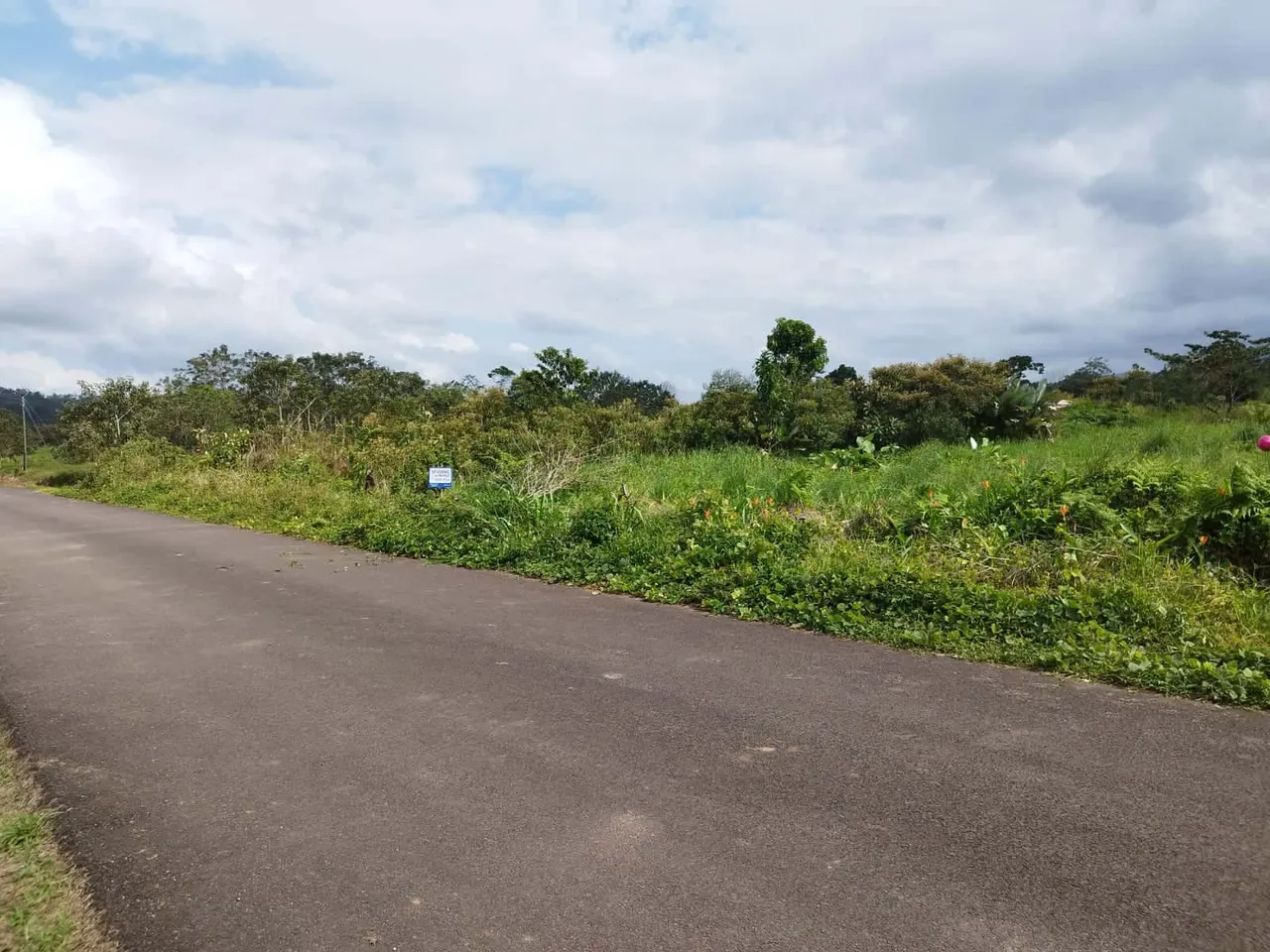 Fotografía 1 de Venta de lote en La Palmera, San Carlos, Alajuela