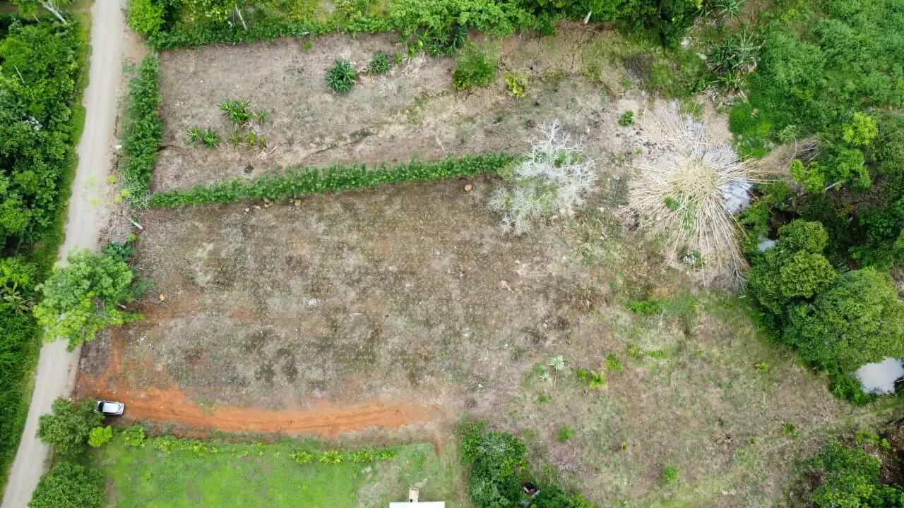 Fotografía 1 de Venta de lote en Upala, Alajuela