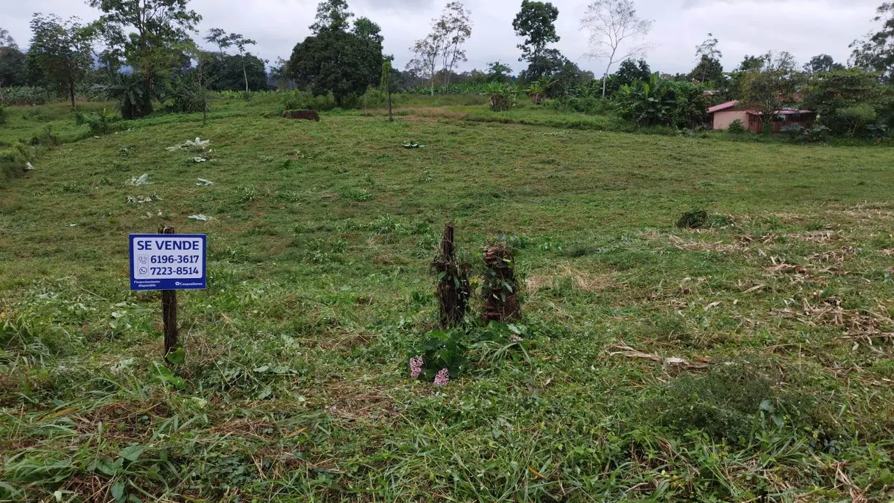 Fotografía 1 de Venta de lote en La Tigra, San Carlos, Alajuela