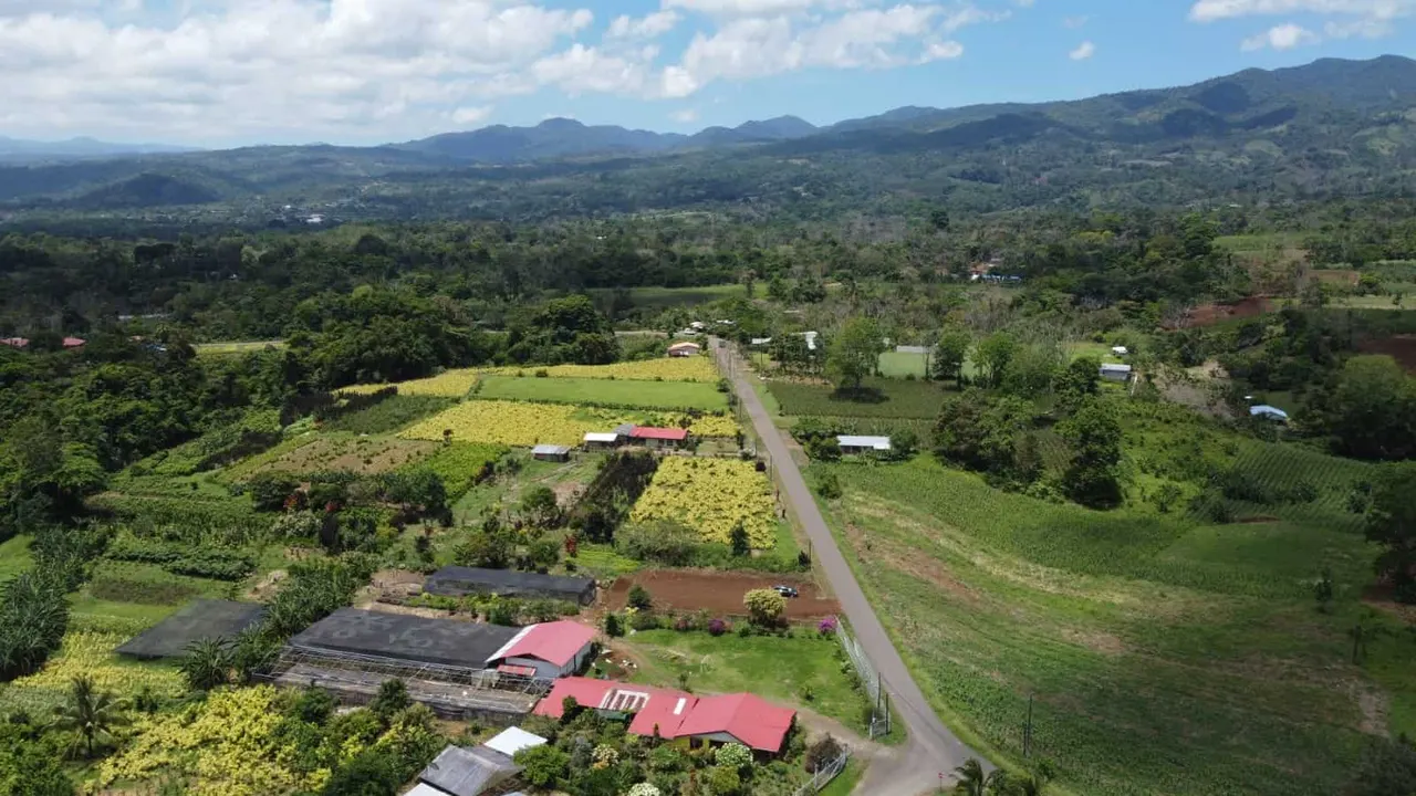 Photo 1 of Land for sale in La Tigra, San Carlos, Alajuela