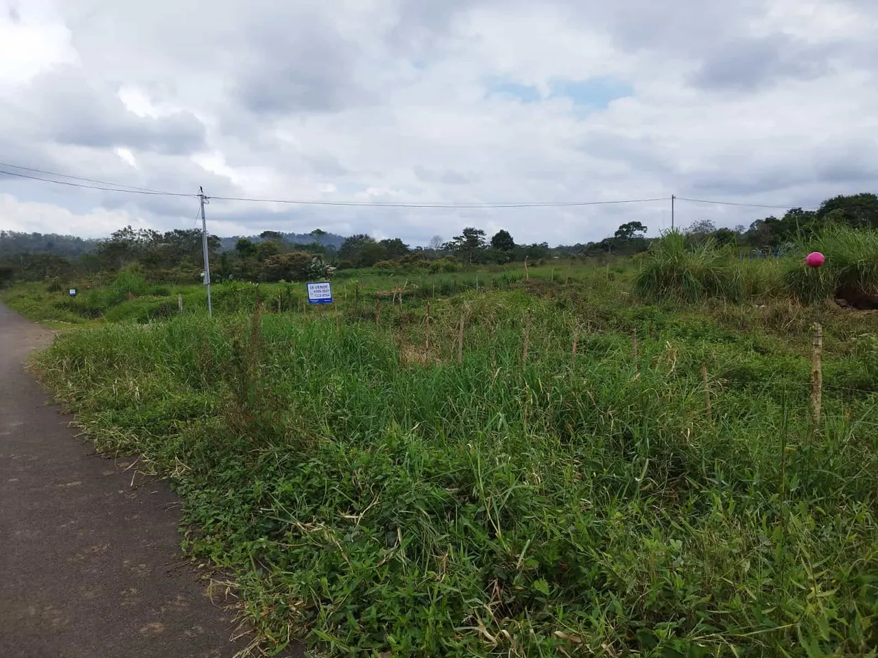 Photo 1 of Land for sale in La Palmera, San Carlos, Alajuela