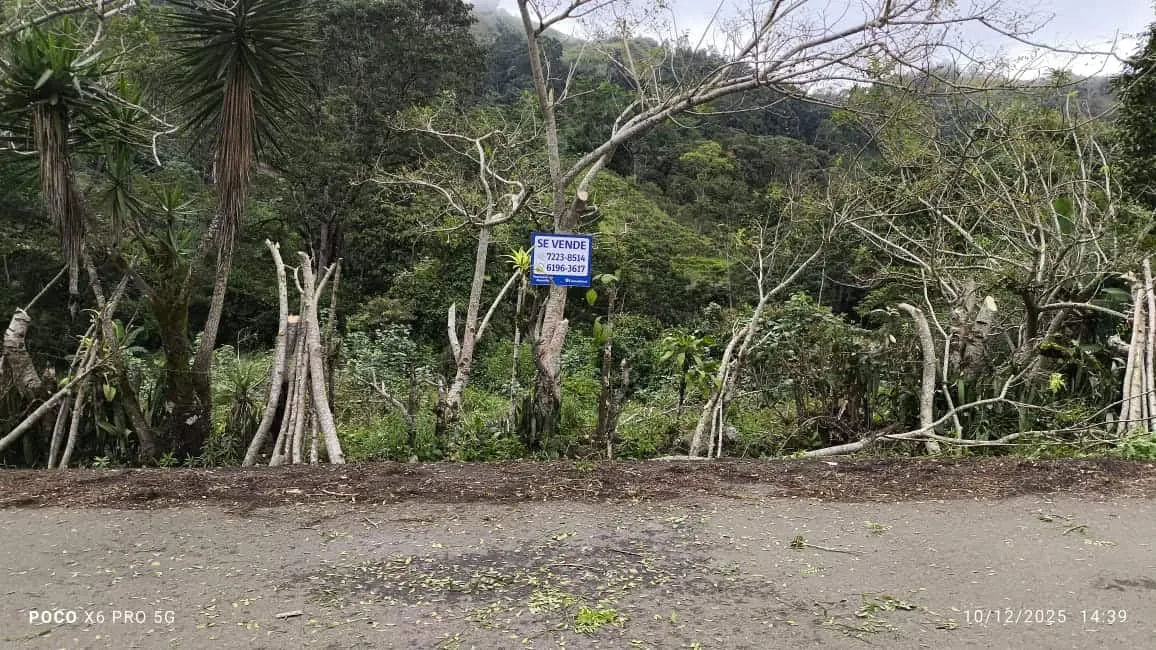Fotografía 1 de Venta de lote en Tuis, Turrialba, Cartago