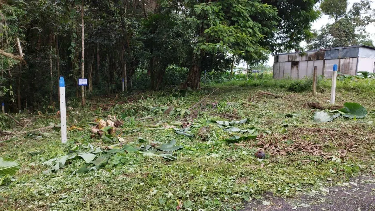 Photo 1 of Land for sale in La Virgen, Sarapiquí, Heredia