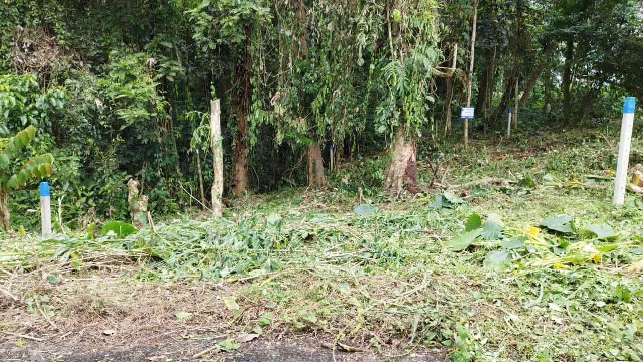 Fotografía 1 de Venta de lote en La Virgen, Sarapiquí, Heredia