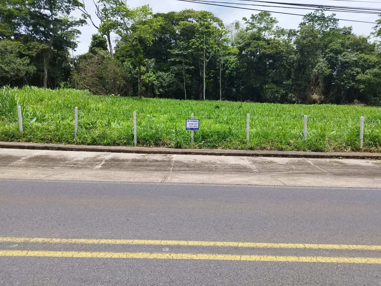 Photo 1 of Land for sale in La Virgen, Sarapiquí, Heredia