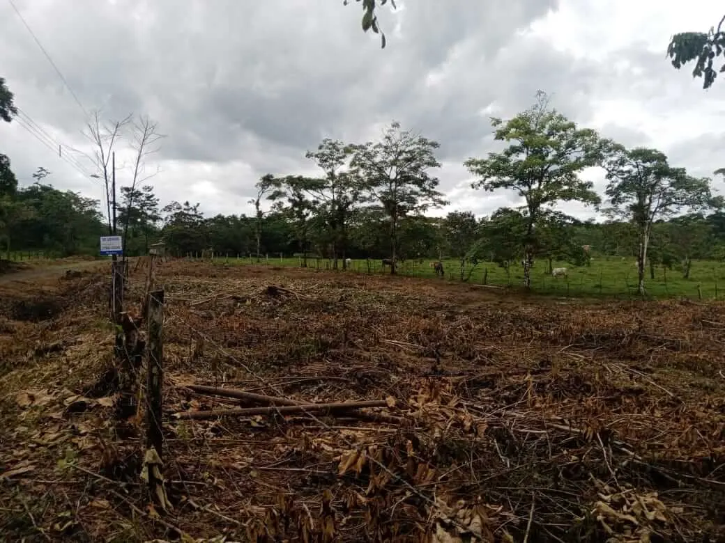 Photo 1 of Land for sale in Santa Cecilia, La Cruz, Guanacaste
