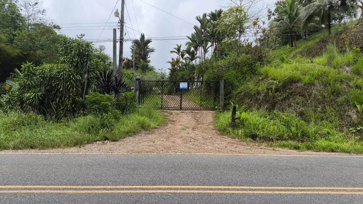 Photo 1 of Land for sale in Piedras Blancas, Osa, Puntarenas