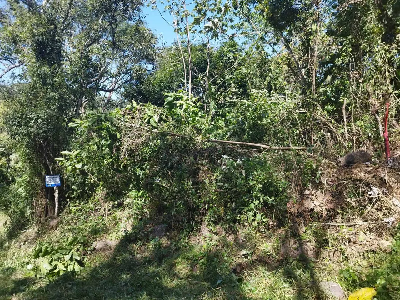 Photo 1 of Land for sale in Miramar, Montes de Oro, Puntarenas