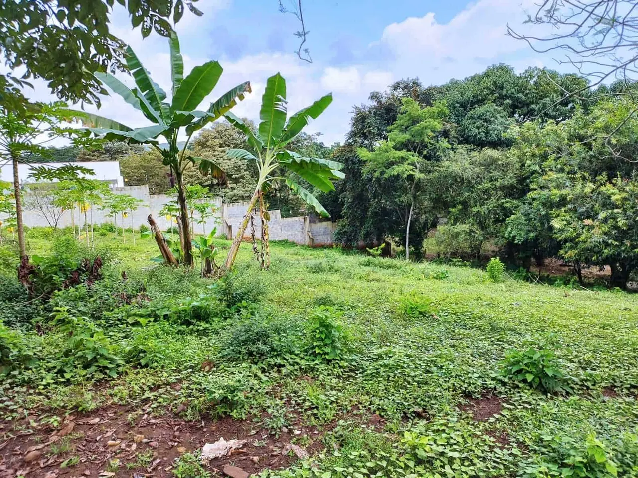 Fotografía 1 de Venta de lote en San Isidro, Montes de Oro, Puntarenas