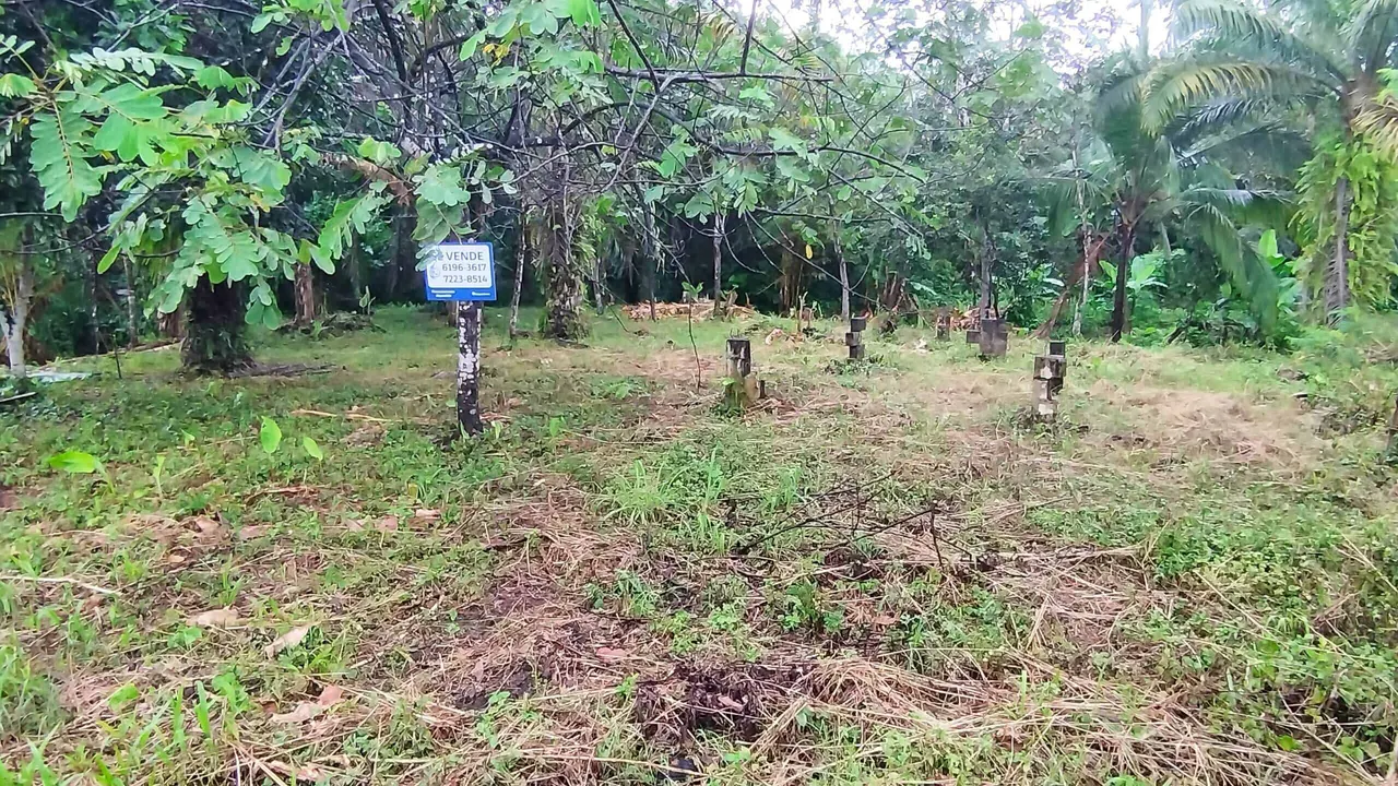 Photo 1 of Land for sale in Laurel, Corredores, Puntarenas