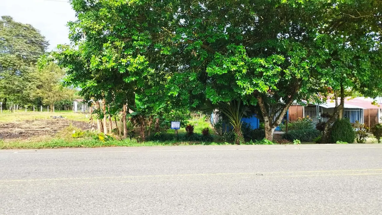 Fotografía 1 de Venta de lote en Puerto Jiménez, Golfito, Puntarenas