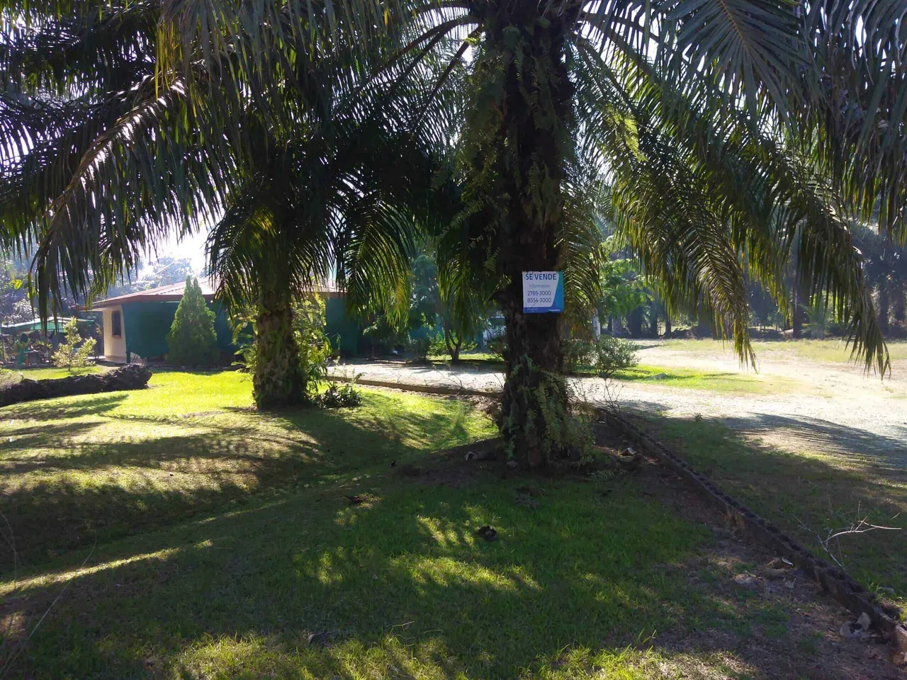 Photo 1 of House or apartment for sale in Corredor, Corredores, Puntarenas