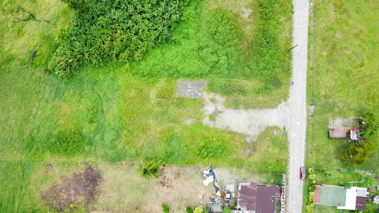 Photo 1 of Land for sale in Guaycara, Golfito, Puntarenas