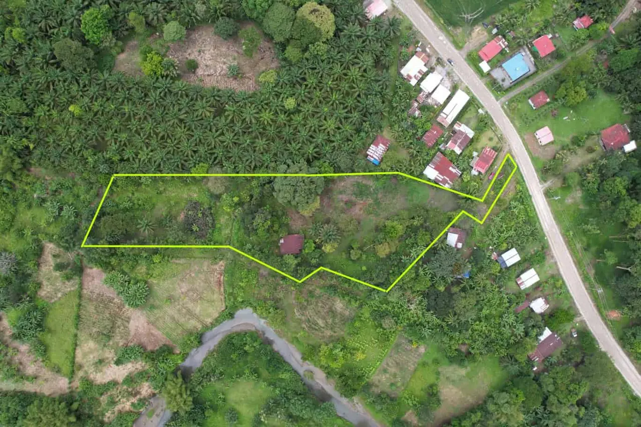 Photo 1 of Land for sale in Pavón, Golfito, Puntarenas