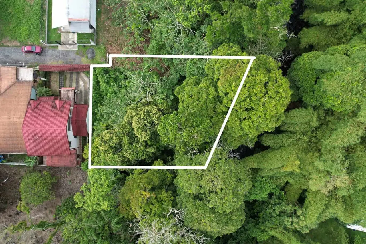 Photo 1 of Land for sale in Guapiles, Pococí, Limón