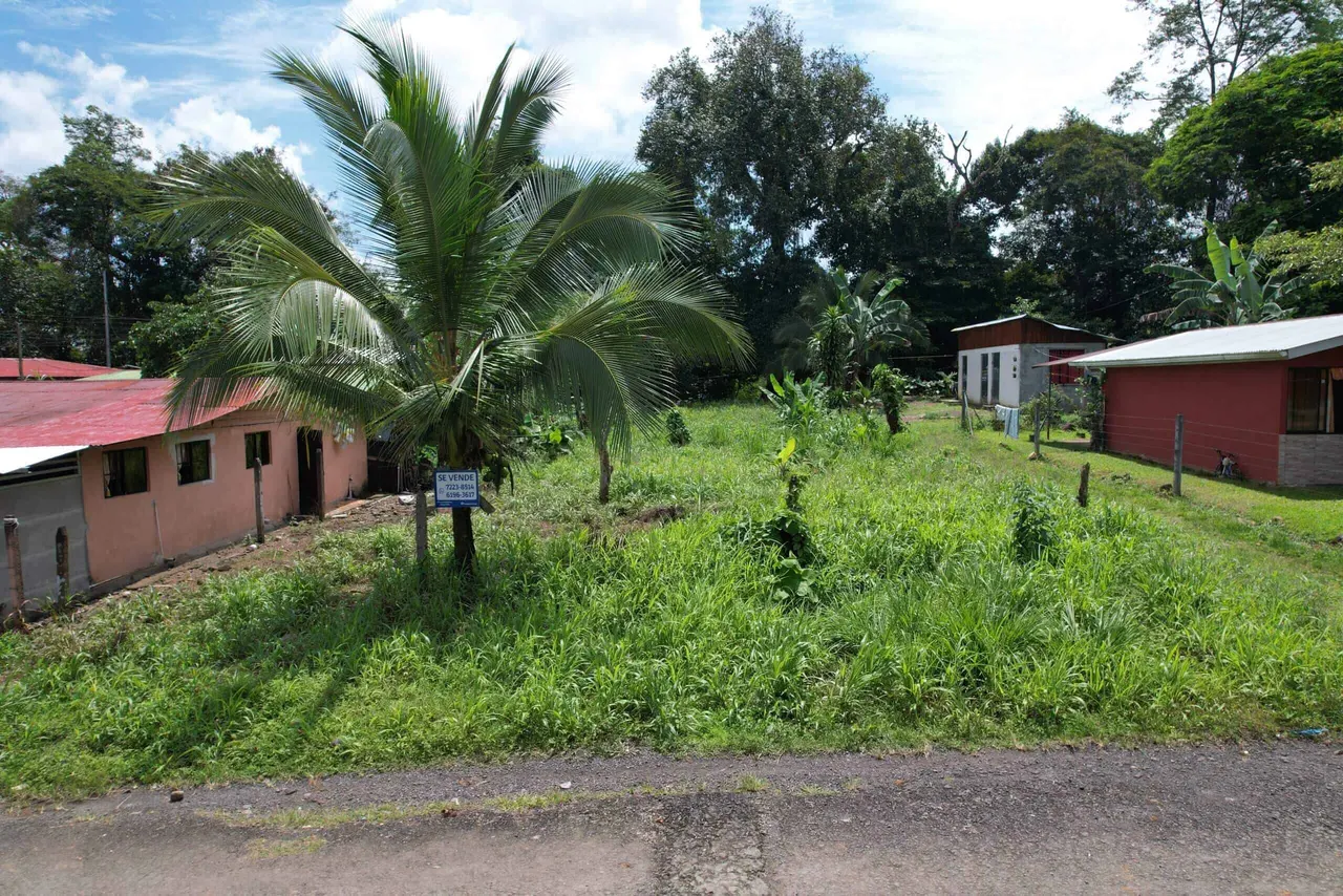 Photo 1 of Land for sale in Pocora, Guácimo, Limón