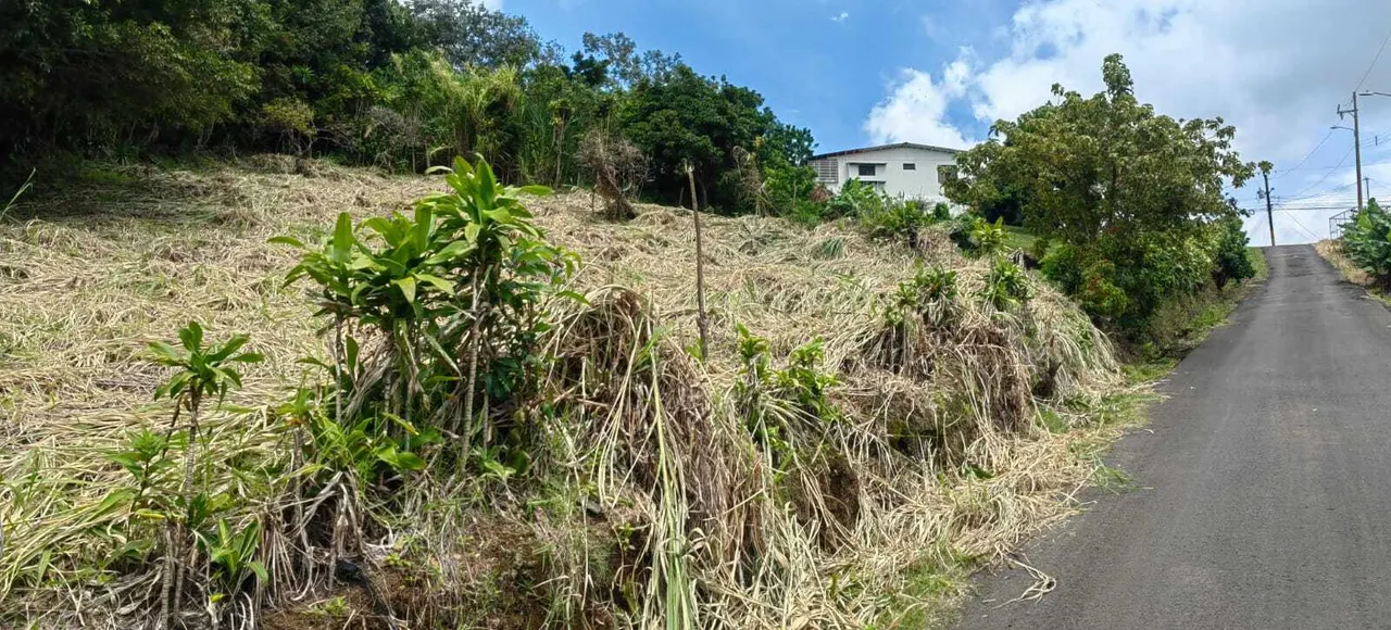 Fotografía 1 de Remate bancario de lote en San Pedro, Sarchí, Alajuela