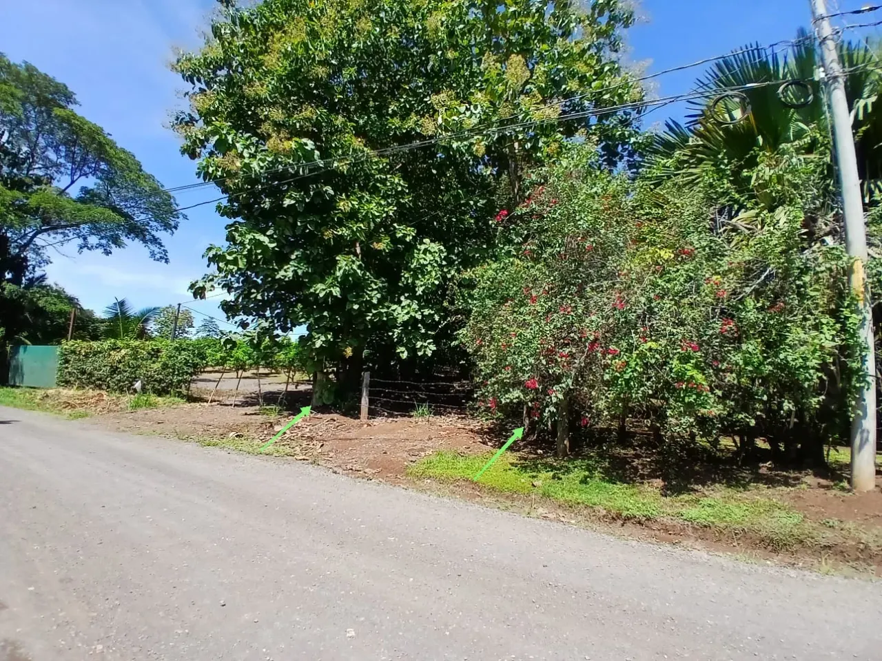 Fotografía 1 de Remate bancario de lote en Coyolar, Orotina, Alajuela
