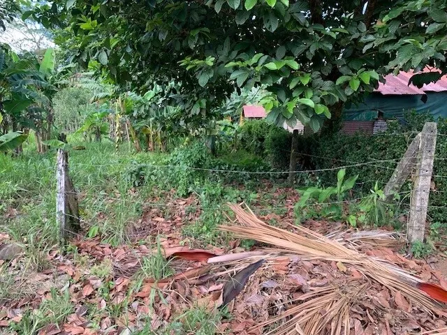 Fotografía 1 de Remate bancario de lote en Peñas Blancas, San Ramón, Alajuela