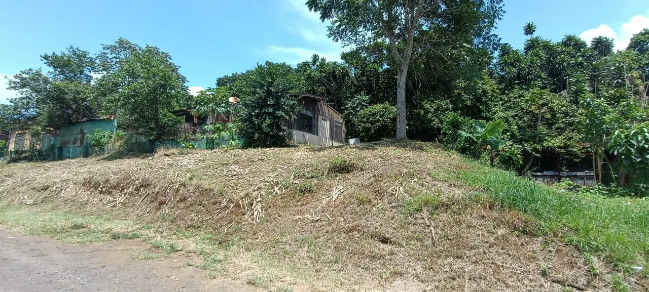 Fotografía 1 de Remate bancario de lote en Puente de Piedra, Grecia, Alajuela