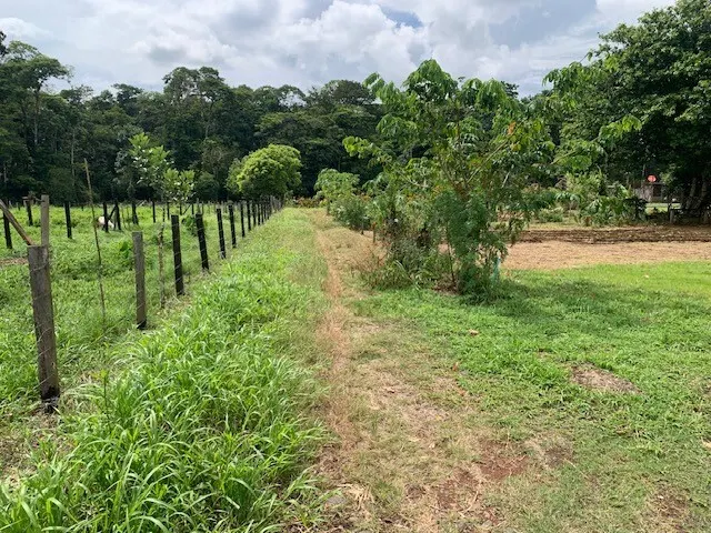 Fotografía 1 de Remate bancario de lote en Pital, San Carlos, Alajuela