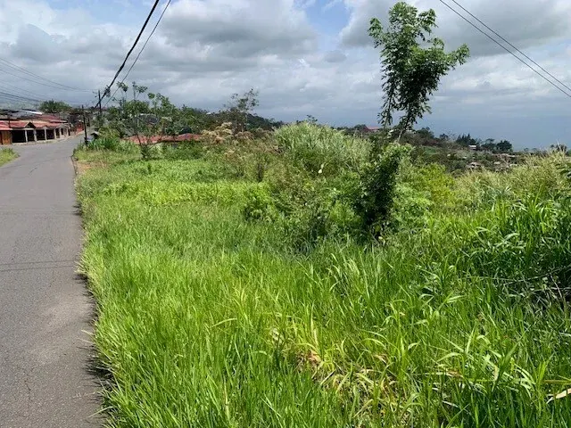 Fotografía 1 de Remate bancario de lote en Quesada, San Carlos, Alajuela