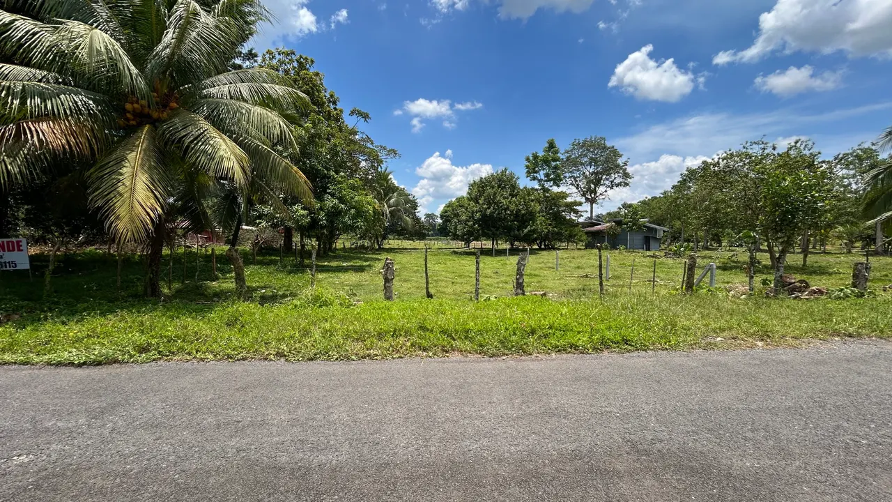 Photo 1 of Land auction in LAS HORQUETAS, Sarapiquí, Heredia