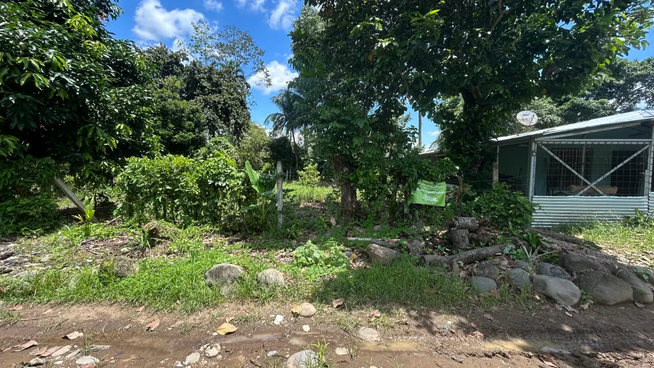 Photo 1 of Land for sale in Pacuarito, Siquirres, Limón