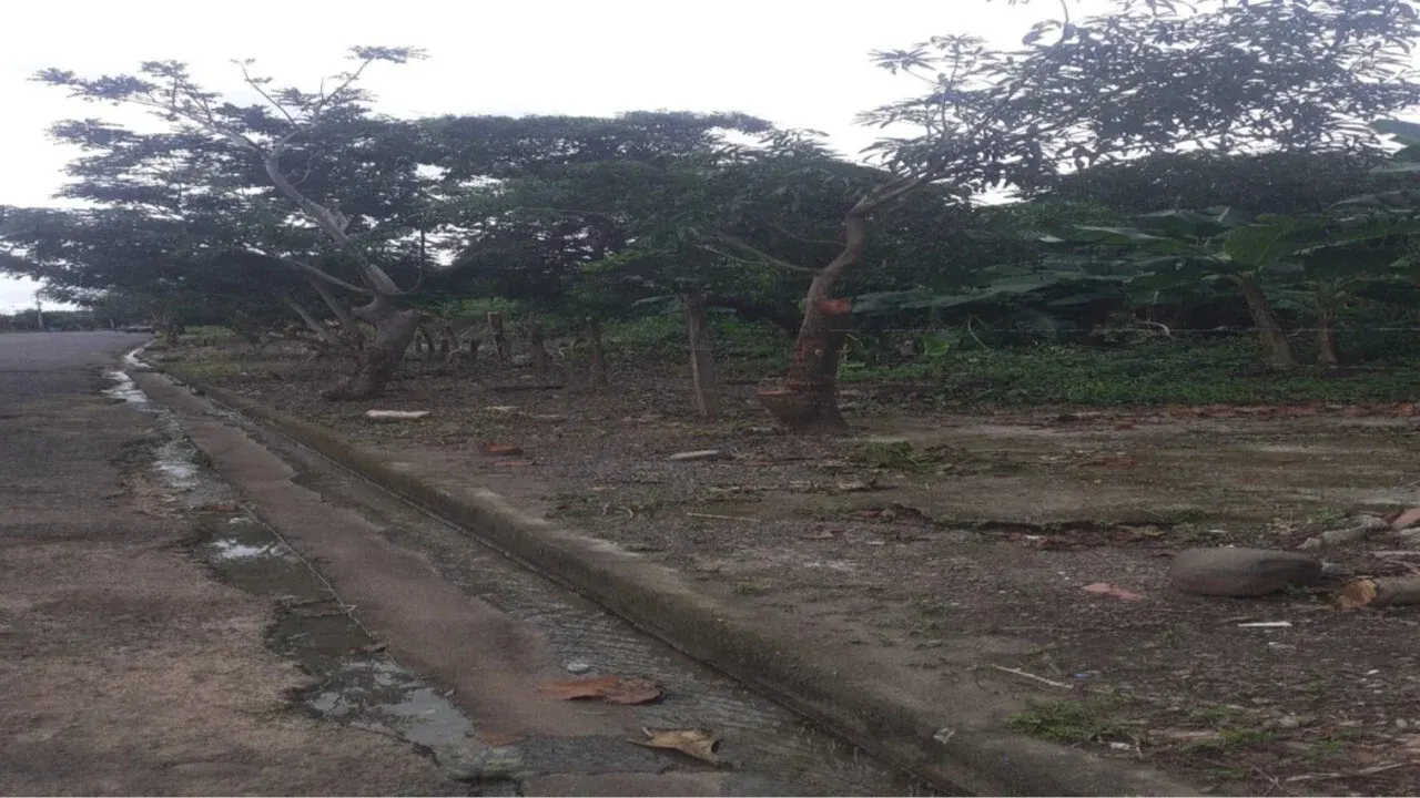 Fotografía 1 de Venta de lote en Cañas, Guanacaste