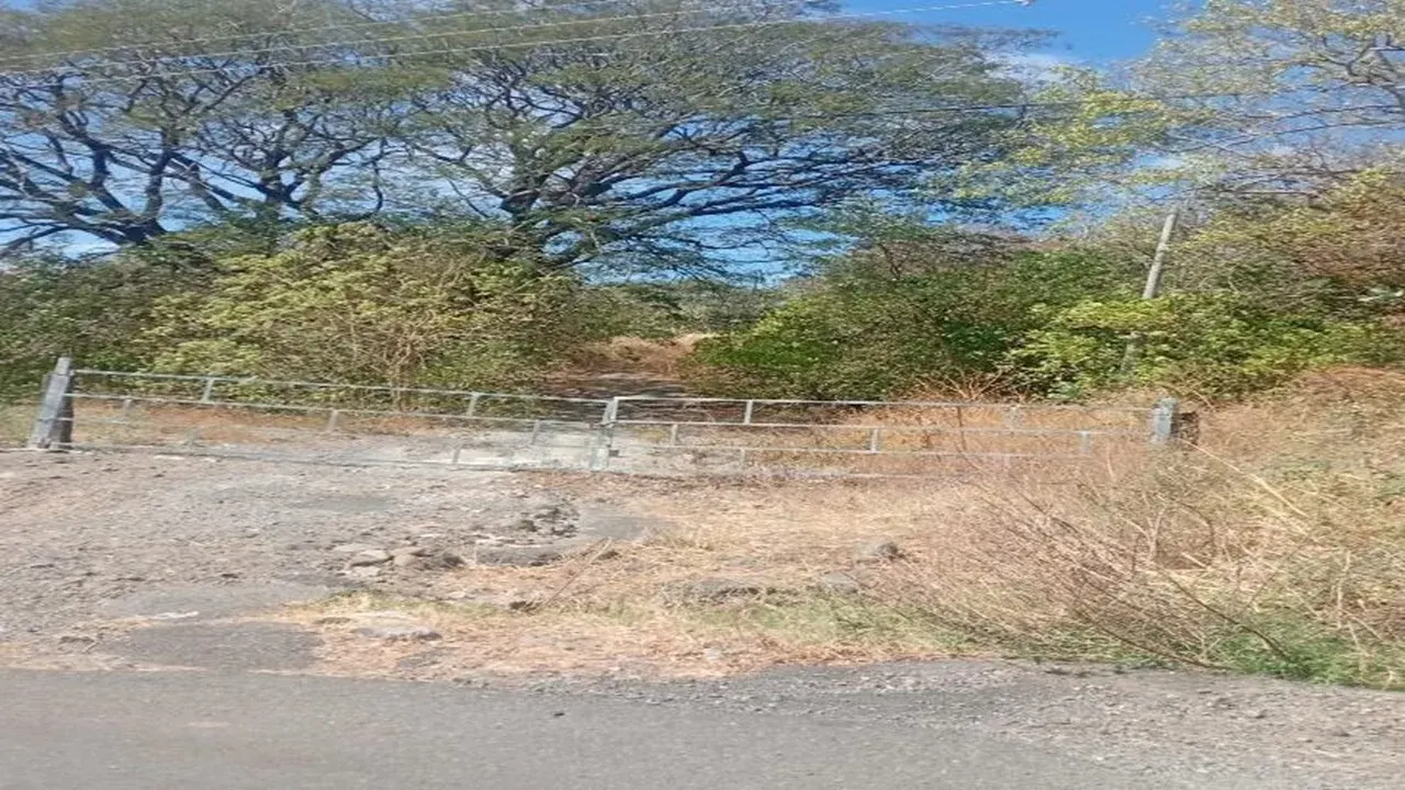 Fotografía 1 de Venta de lote en Cañas, Guanacaste