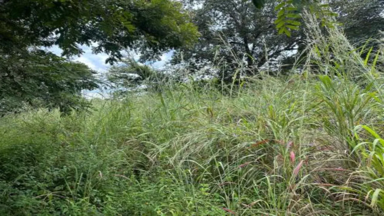 Fotografía 1 de Remate bancario de lote en Cañas Dulces, Liberia, Guanacaste