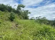 Photo 1 of Land for sale in Osa, Puntarenas