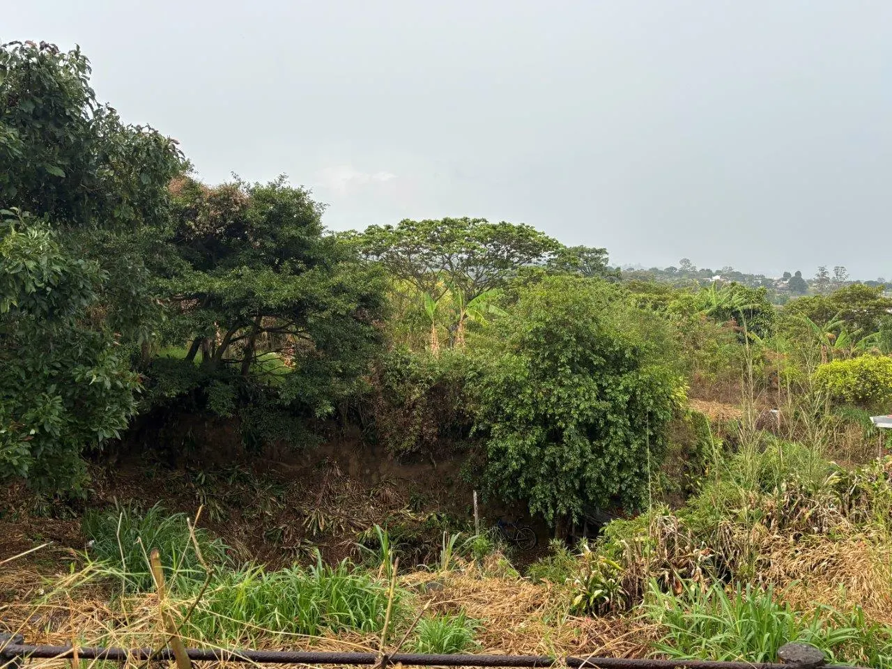Photo 1 of Land for sale in SAN ISIDRO, Grecia, Alajuela