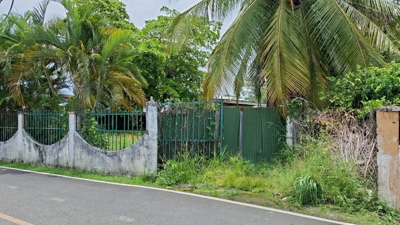 Photo 1 of Land for sale in Parrita, Puntarenas