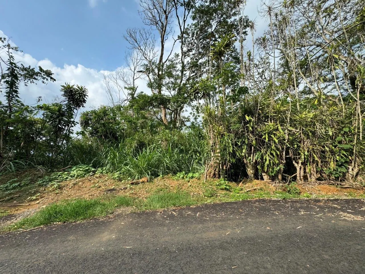 Photo 1 of Land for sale in Santiago, Palmares, Alajuela