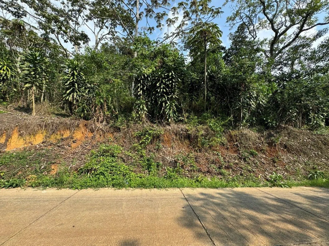 Photo 1 of Land for sale in Santiago, Palmares, Alajuela