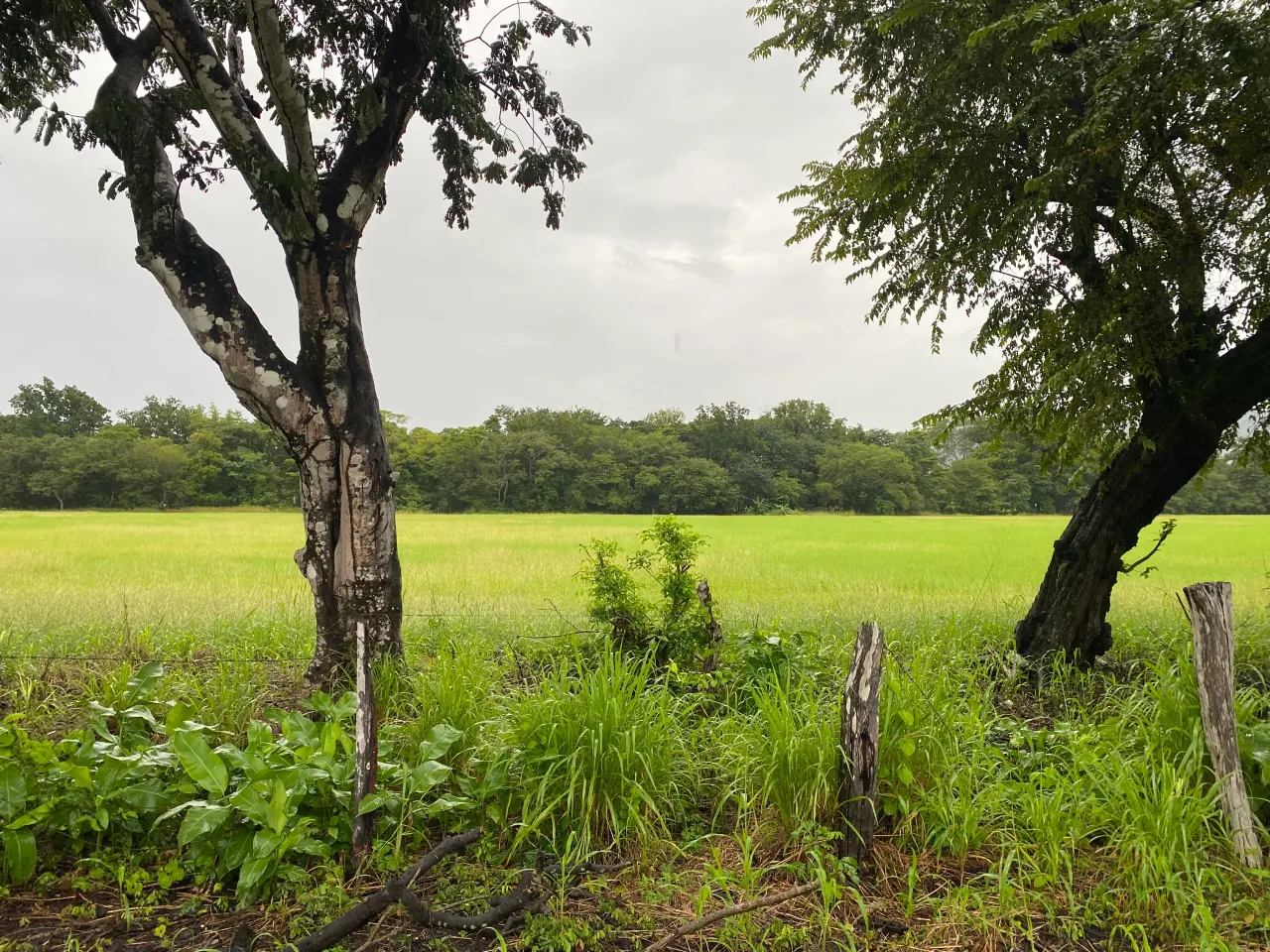 Photo 1 of Land for sale in Santa Rita, Nandayure, Guanacaste