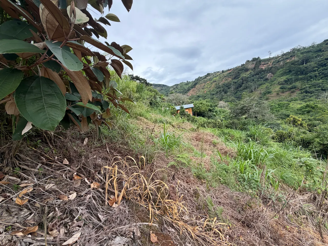 Photo 1 of Land for sale in Acosta, San José