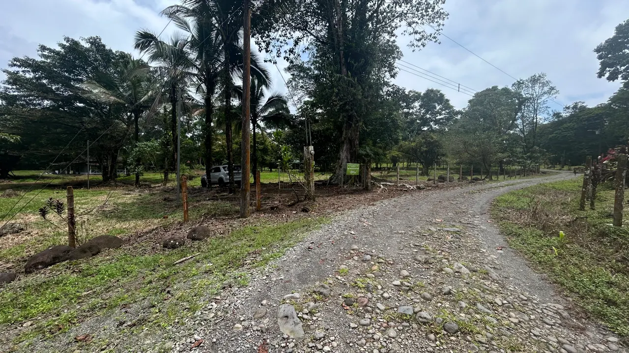 Fotografía 1 de Remate bancario de lote en Guapiles, Pococí, Limón
