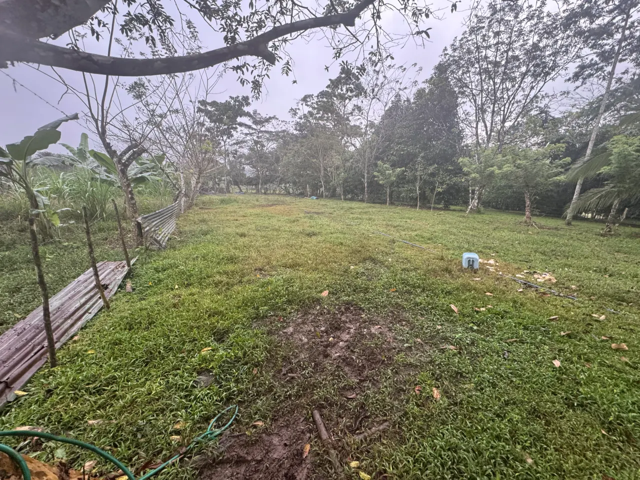 Fotografía 1 de Remate bancario de lote en La Palmera, San Carlos, Alajuela