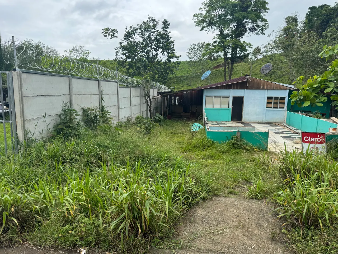 Photo 1 of House or apartment auction in La Palmera, San Carlos, Alajuela