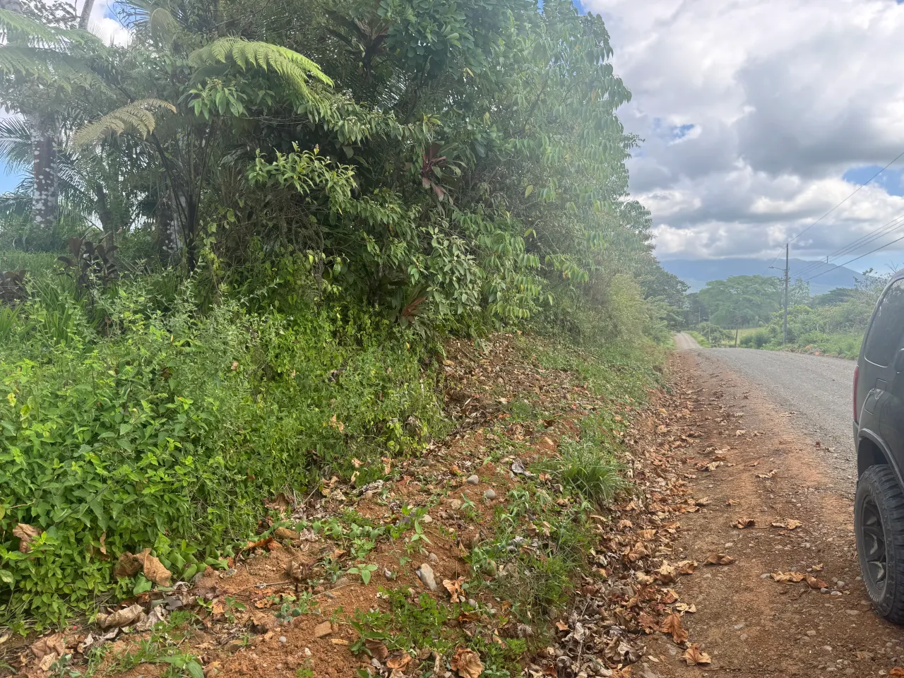 Fotografía 1 de Remate bancario de lote en Dos Ríos, Upala, Alajuela