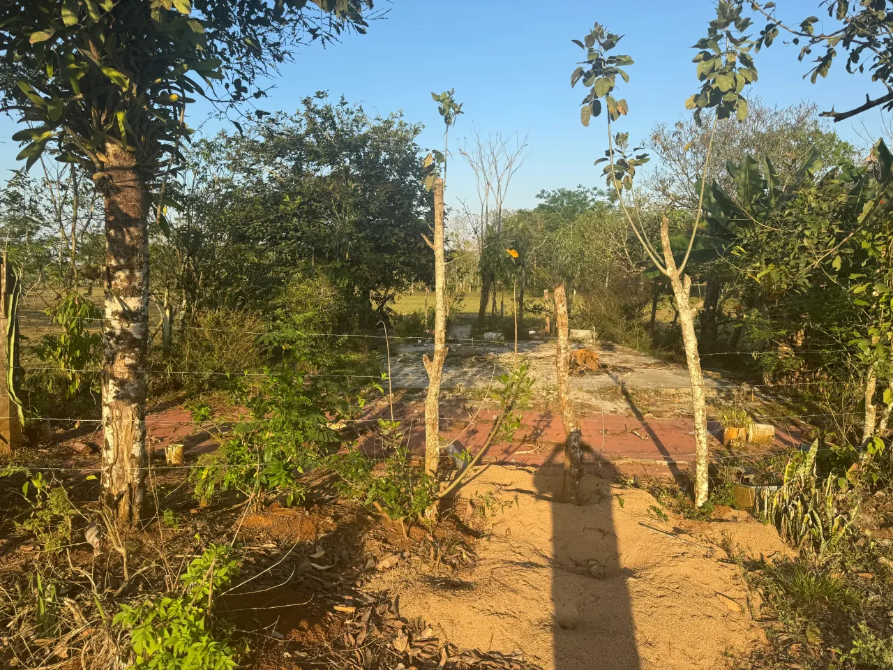 Photo 1 of Land auction in Upala, Alajuela