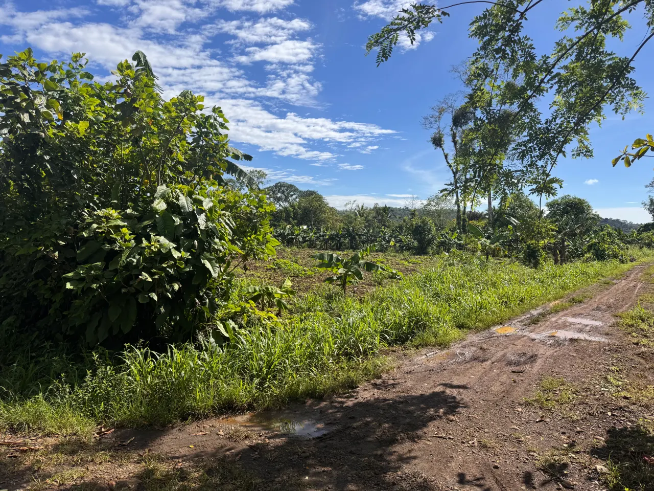 Fotografía 1 de Remate bancario de lote en Aguas Claras, Upala, Alajuela