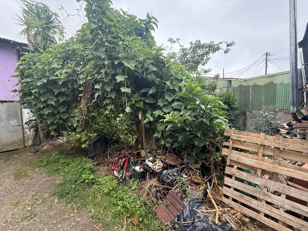 Photo 1 of Land for sale in San Marcos, Tarrazú, San José