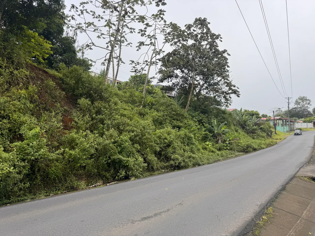 Fotografía 1 de Venta de lote en Quesada, San Carlos, Alajuela
